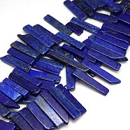 Natural Gemstone Lapis Lazuli Beads Strands, Irregular Cuboid, Lapis Lazuli, 15~70x9~12x5~7mm, Hole: 2mm, about 39pcs/strand, 15.74 inch(X-G-L156-05)