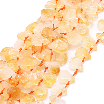 Natural Citrine Beads Strands, Teardrop, 12~20x5~15x3~7mm, Hole: 0.8mm, about 24pcs/strand, 15.04''(38.2cm)