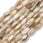 Natural Freshwater Shell Beads Strands, Rice, Camel, 7.5x5mm, Hole: 0.6mm, about 50pcs/strand, 15.24''(38.7cm)(SHEL-K006-78A)
