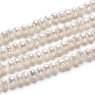 Natural Cultured Freshwater Pearl Beads Strands, Rondelle, Antique White, 4.8~5.5x3.5~4.5mm, Hole: 0.5mm, about 49pcs/strand, 7.01 inch(17.8cm)(X-PEAR-I004-07B-01A)
