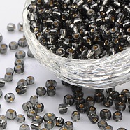 6/0 Glass Seed Beads, Silver Lined Round Hole, Round, Light Grey, 6/0, 4mm, Hole: 1.5mm, about 500pcs/50g, 50g/bag, 18bags/2pounds(SEED-US0003-4mm-52)