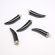 Non-magnetic Synthetic Hematite Pendants, Grade AA, with Brass Findings, Ivory/Tusk Shape, Platinum, 35.5~37x8x8mm, Hole: 2.5mm(G-N0050-32P)