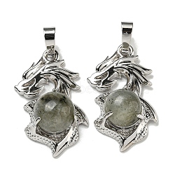 Natural Labradorite Pendants, Dragon Charms with Rack Plating Brass Findings, Platinum, Cadmium Free & Lead Free, 31x18x8~10mm, Hole: 5x8mm(G-G111-01P-02)