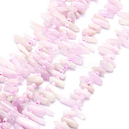 Natural Kunzite Beads Strands, Nuggets, 9.5~30x4.5~7.5x1.5~5mm, Hole: 0.8mm, about 80pcs/strand, 15.75 inch(40cm)(G-E569-O10)