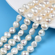 Natural Cultured Freshwater Pearl Beads Strands, Two Sides Polished, Seashell Color, 8~9.5x8.5~11.5x5~7.5mm, Hole: 0.7mm, about 20~21pcs/strand, 6.69 inch~7.09 inch(17cm~18cm)(X-PEAR-N014-08A)