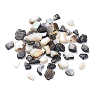 Natural Black Lip Shell Beads, Shell Shards, No Hole/Undrilled, Chips, Mixed Color, 7.5~18.5x8.5~16mm(SSHEL-K026-02B)