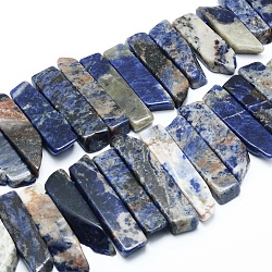 Natural Sodalite Beads Strands, Top Drilled Beads, Rectangle, 25~56x8~13x6~8mm, Hole: 2mm, about 34~38pcs/strand, 14.17 inch(36cm)(G-L551B-01)