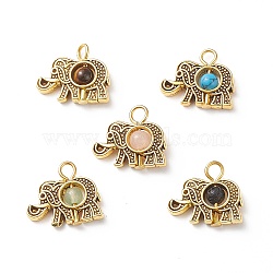 Natural & Synthetic Mixed Gemstone Pendants, Animal Charm, with Antique Golden Plated Tibetan Style Alloy Findings and Iron Loops, Mixed Dyed and Undyed, Elephant Pattern, 15.5x18x4mm, Hole: 2.5mm(PALLOY-JF01919-04)