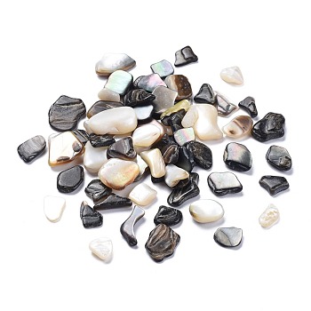 Natural Black Lip Shell Beads, Shell Shards, No Hole/Undrilled, Chips, Mixed Color, 7.5~18.5x8.5~16mm