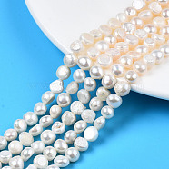 Natural Cultured Freshwater Pearl Beads Strands, Two Sides Polished, Creamy White, 7~8x7~8x4~6mm, Hole: 0.7mm, about 53~54pcs/strand, 13.98 inch~14.37 inch(35.5~36.5cm)(PEAR-N014-07G)