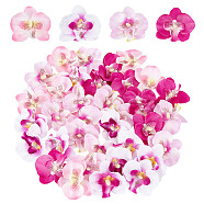 100Pcs 4 Colors Cloth Imitation Phalaenopsis Amabilis, Artificial Flower Heads, Festival & Party Supplies, Mixed Color, 53~80x54~80x18~19mm, 25pcs/color(AJEW-CP0001-86)