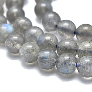 Natural Labradorite Beads Strands, Round, 3.5~4mm, Hole: 0.6mm, about 97pcs/Strand, 15.35 inch(39cm)(G-O186-E01-4mm)