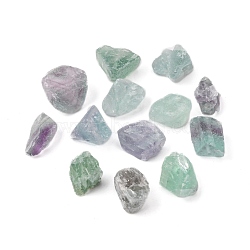 3Pcs Raw Rough Natural Fluorite Beads, Nuggets, 15~20x14~18x10~14mm, Hole: 1mm(G-FS0001-47)