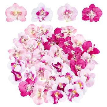 100Pcs 4 Colors Cloth Imitation Phalaenopsis Amabilis, Artificial Flower Heads, Festival & Party Supplies, Mixed Color, 53~80x54~80x18~19mm, 25pcs/color
