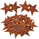 Rust Iron Big Pendants(IFIN-WH0065-16C)-1