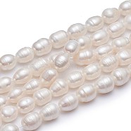 Natural Cultured Freshwater Pearl Beads Strands Rice, Natural Color, White, 10~11mm, Hole: 0.8mm, about 28~29pcs/strand, 13.58 inch(34.5cm)(A23TR011)
