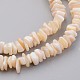 Hebras de perlas shell naturales(X-BSHE-P021-03)-3