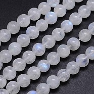 Natural Rainbow Moonstone Round Bead Strands, Grade AA, 8mm, Hole: 1mm, about 50pcs/strand, 15.5 inch(G-M263-D-02)