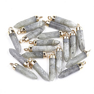 Electroplate Natural Labradorite Pointed Pendants, with Iron Findings, Bullet, Golden, 24~25x5.5~6x5.5~6mm, Hole: 1.6mm(X-G-S344-07C)