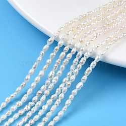 Natural Cultured Freshwater Pearl Beads Strands, Rice, Seashell Color, 3~3.5x2.5mm, Hole: 0.6mm, about 68~82pcs/strand, 13.78 inch~13.90 inch(35~35.3cm)(PEAR-N012-02J)