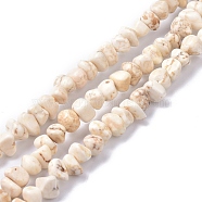 Natural Magnesite Beads Strands, Dyed, Chip, Linen, 6~10x6~10x3~4mm, Hole: 0.5~0.7mm, 15.55''~16.54''(39.5~42cm)(TURQ-P001-02A-11)