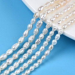 Natural Cultured Freshwater Pearl Beads Strands, Rice, Seashell Color, 4~7.5x3~4mm, Hole: 0.6mm, about 63~64pcs/strand, 13.58 inch(34.5cm)(PEAR-N012-03D)