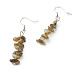 Natural Labradorite Chip Beads Dangle Earrings(EJEW-JE04649-07)-1