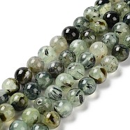 Natural Prehnite Beads Strands, Round, Grade AB, 10mm, Hole: 1mm, about 39pcs/strand, 15.1 inch(38.5cm).(G-P322-48-10mm-01)