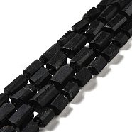 Natural Black Tourmaline Beads Strands, Faceted, Column, 10~16x9x9.5~11mm, Hole: 1mm, about 24~28pcs/strand, 16.54 inch(42cm)(G-F716-01)