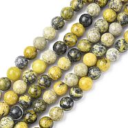Gemstone Beads Strands, Natural Yellow Turquoise(Jasper), Round, about 4mm in diameter, hole: about 0.8mm, 15~16 inch(GSR4mmC007)