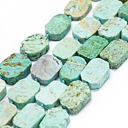 Natural Peruvian Turquoise(Jasper) Beads Strands, Frosted, Rectangle, 14~17x11~13x5~6mm, Hole: 1mm, about 21~23pcs/strand, 15.75~16.14 inch(40~41cm)(G-F725-08)