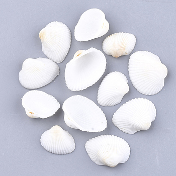 Clam Shell Beads, Undrilled/No Hole Beads, White, 19~27x24~33x8~10mm
