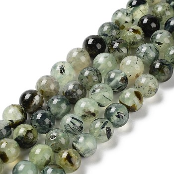 Natural Prehnite Beads Strands, Round, Grade AB, 10mm, Hole: 1mm, about 39pcs/strand, 15.1 inch(38.5cm).