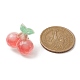 Resin Fruit Brooches(JEWB-BR00108)-3