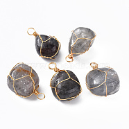 Natural Cloudy Quartz Pendants, with Golden Plated Brass Wire Wrapped, Nuggets, 14~25x15~32x13~21mm, Hole: 4mm(G-N332-50-06)
