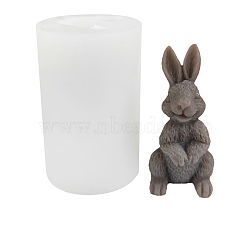 Easter Themed Candle Molds, Silicone Molds, for Homemade Beeswax Candle Soap, White, Rabbit Pattern, 5.2x8.3cm, Finished Product: 3.5x3.9x7.3cm(EAER-PW0001-052I)