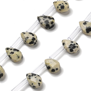 Natural Dalmatian Jasper Beads Strands, Faceted, Teardrop, Top Drilled, 9x6x4mm, Hole: 0.8mm, about 32pcs/strand, 16.54''(42cm)
