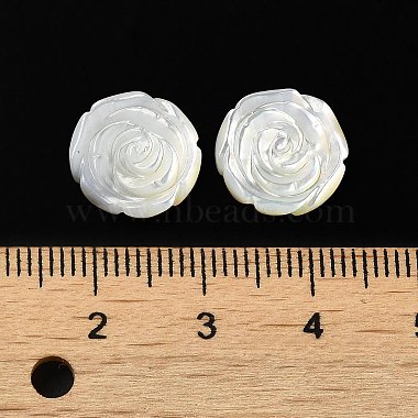 Natural White Shell Carved Cabochons(SSHEL-M022-07)-3