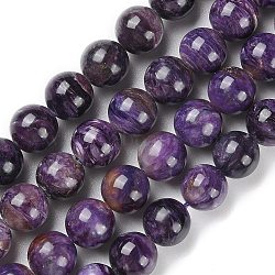 Grade A Natural Charoite Round Bead Strands, 10mm, Hole: 1mm, about 42pcs/strand, 15.5 inch(G-L417-06-10mm-01)