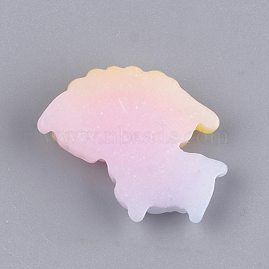 Resin Cabochons(CRES-T010-56A)-2