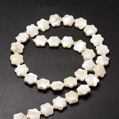 Natural Trochid Shell/Trochus Shell Beads Strands(SSHEL-K010-03)-2