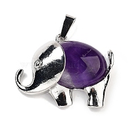 Natural Amethyst Pendants, Elephant Charms with Alloy Findings, Platinum, 29x37~37.5x9.5~10mm, Hole: 3x9mm(G-G112-01P-14)