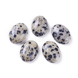 Natural Dalmatian Jasper Cabochons, Oval, 16~16.5x12~12.5x4.5~5.5mm(G-L511-A-02)