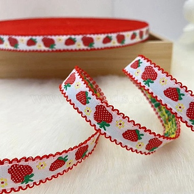 Polyamide Ribbon(OCOR-WH20013-024E)-1