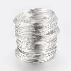 Carbon Steel Memory Wire, for Bracelet Making, Silver, 0.6mm(22 Gauge), 55mm, 2300 circles/1000g(FIND-S601-0.6x55mm-S)