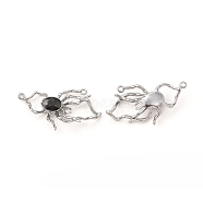 Alloy Glass Connector Charms, Spider, Gunmetal, Black, 18x36x6mm, Hole: 1.4mm(PALLOY-P291-16B-03)