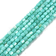 Natural Freshwater Shell Beads Strands, Dyed, Column, Turquoise, 3.5x3.5mm, Hole: 0.8mm, about 110~113pcs/strand, 14.69 inch~15.08 inch(37.3~38.3cm)(X-SHEL-N003-33-A04)