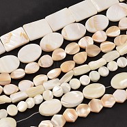 Natural Mixed Shape Sea Shell Bead Strands, 8~20x8~15x3mm, Hole: 1mm, about 15 inch~15.7 inch(BSHE-E004-01)