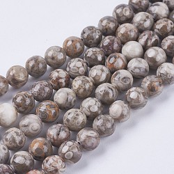 Natural Maifanite/Maifan Stone Beads Strands, Round, 8mm, Hole: 1mm, about 46pcs/strand, 15.3 inch(39cm)(X-G-I187-8mm-01)