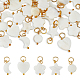 40Pcs 5 Styles Natural Freshwater Shell Charms(PALLOY-AB00085)-1
